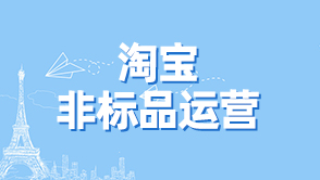 淘寶非標(biāo)品運(yùn)營(yíng)