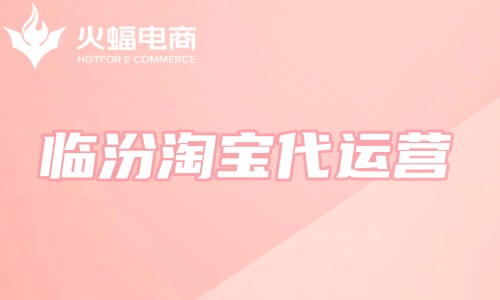 臨汾淘寶代運(yùn)營(yíng) 臨汾淘寶代運(yùn)營(yíng)